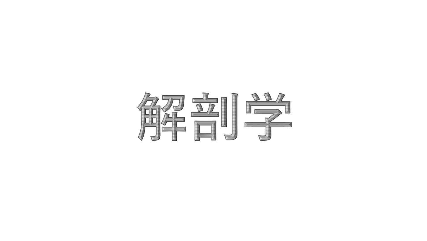 最大59％オフ！ 生理学解剖学教科書セット econet.bi